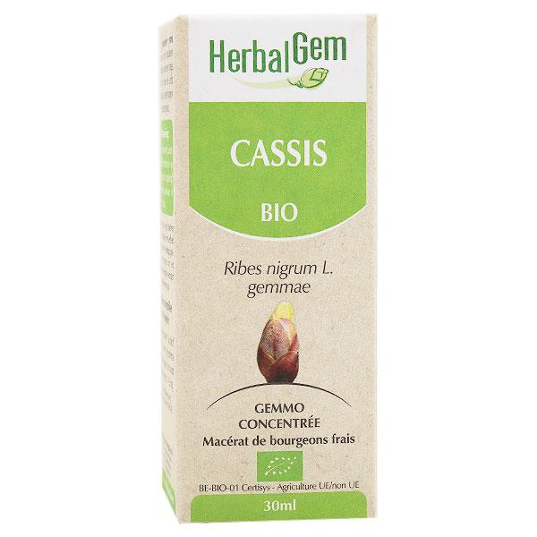 Macérat Concentré Cassis Bio 30ml 3
