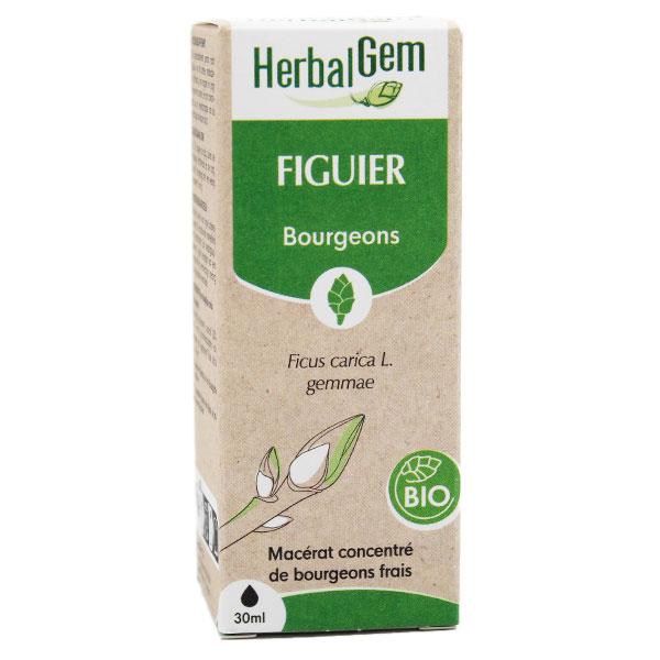 Macérat Concentré Figuier Bio 30ml 3