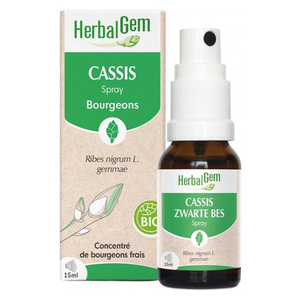 Cassis spray Bio 15ml 3