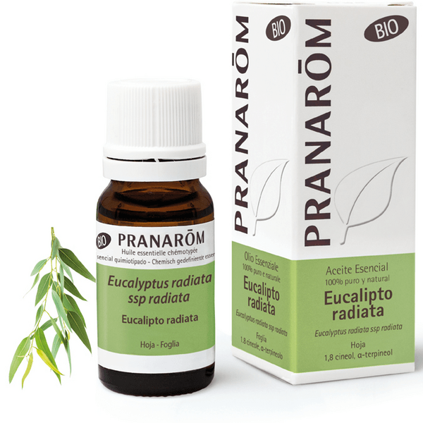 Pranarom Aceite Esencial Eucalipto Radiata Bio 10 Ml