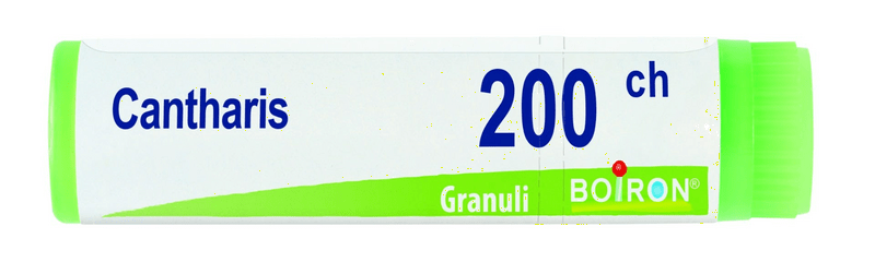 Boiron Cantharis Dose 200CH Globuli