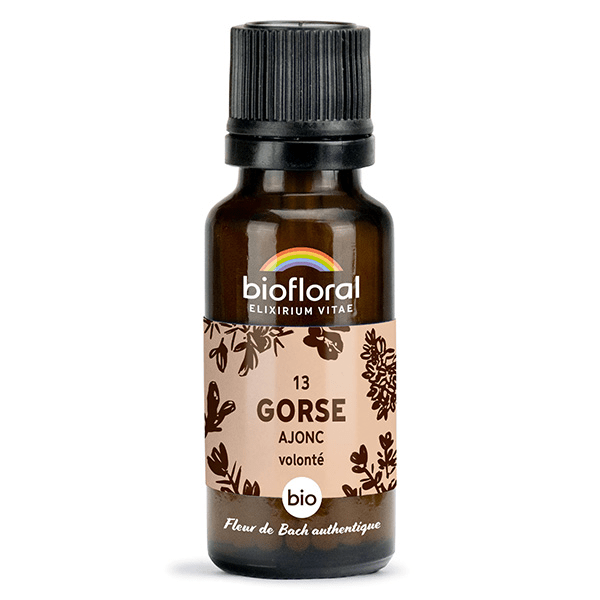 13 Gorse Ajonc Granules Bio Fleur De Bach Granules 19,5 Gr 2