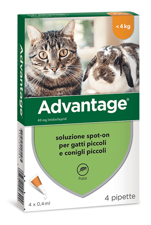 Advantage 40 mg Soluzione Antiparassitaria Spot-On Gatti e Conigli Piccoli 4 Pipette