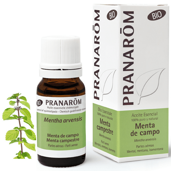 Pranarom Aceite Esencial De Menta De Campo Bio 10 Ml