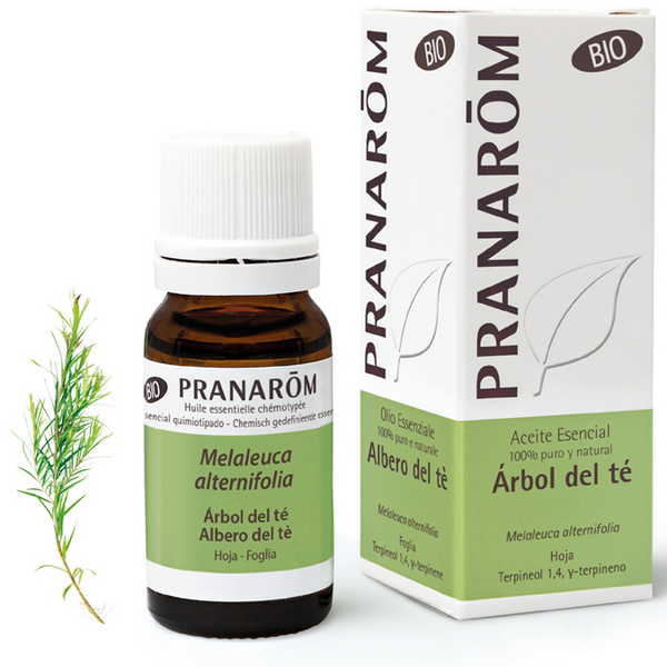 Pranarom Aceite Esencial Árbol De Té BIO 10ml