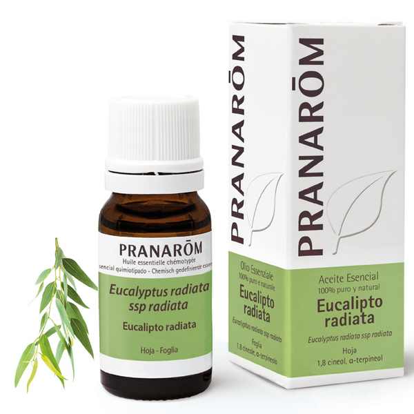Pranarom Aceite Esencial De Eucalipto Radiata 10Ml