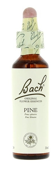Flores De Bach 24 Pine 20ml