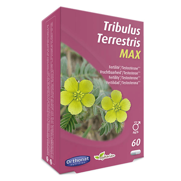 Tribulus Terrestris MAX 60 gélules 2