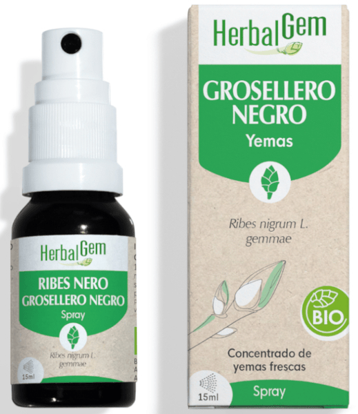 Herbal Gem Negro Herbalgem Grosellero Bio Spray 15 Ml