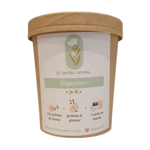 Infusettes Digestion en pot x12