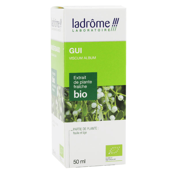 Extrait de Plante Fraîche Gui Bio 50ml 2