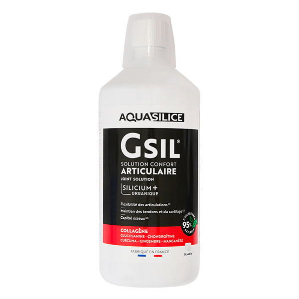 GSIL Monomethyl Articulaire Solution Buvable 1L 2