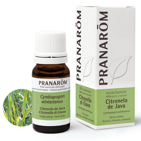Pranarom Aceite Esencial De Citronela De Java 10 Ml