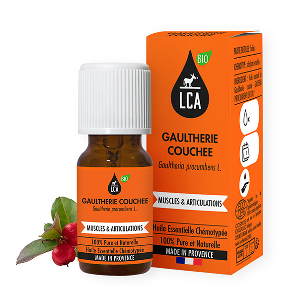 Huile Essentielle de Gaultherie Couchee BIO 10 ml