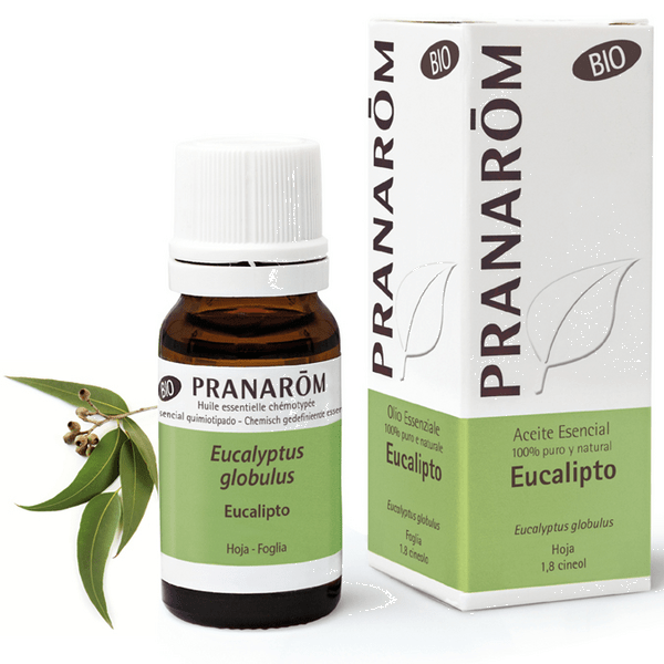 Pranarom Aceite Esencial Eucalipto Bio 10 Ml