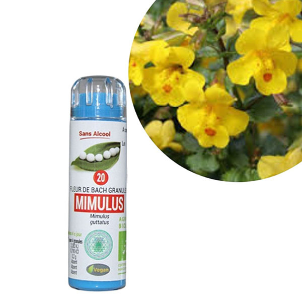 Kosmeo Fleur de Bach 0% Alcool n°20 Mimulus Bio 120 granules