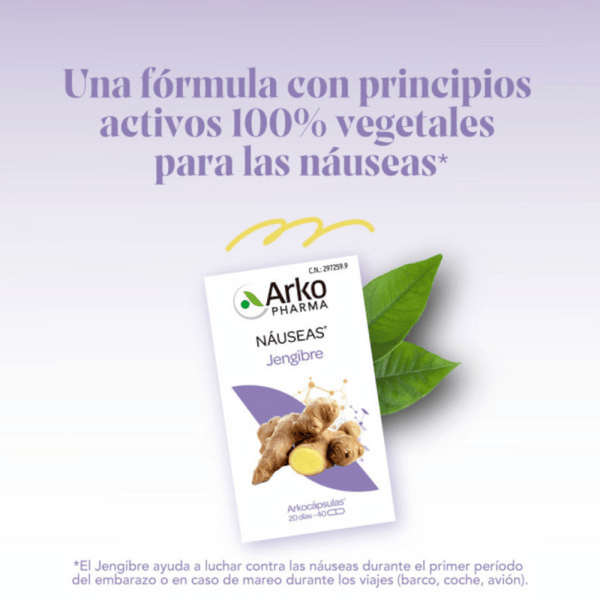 Arkopharma Arkocápsulas Jengibre Bio 40 Cápsulas - Imagen 2