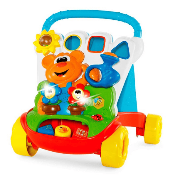 Chicco Primeros Pasos Riega y Camina 9-24m