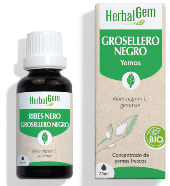 Herbalgem Grosellero Negro Bio 30 Ml