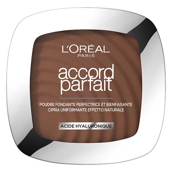 Accord Parfait Poudre Unifiante 11N Café Profond 9g