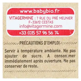 Babybio Desserts Végétaux Pot Brassé Lait de Coco Mangue Ananas +6m Bio 2 x 130g