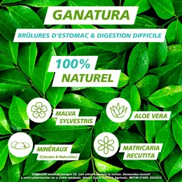 GANatura 100% Naturel Brûlures d'estomac et digestion difficile - 14 Sachets