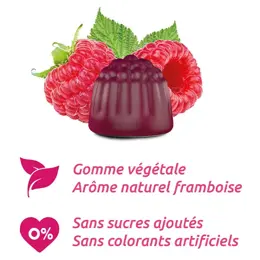 MAG 2 Gommes Framboise Magnésium Vitamine B6 Fatigue Nervosité 45 gommes