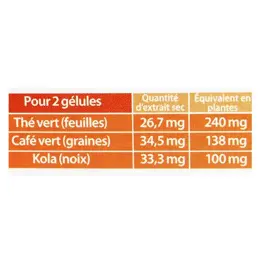 Juvamine Programme Minceur Brûle Graisse 60 gélules