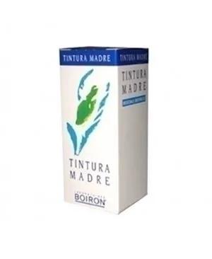 Boiron Sabal Serrulata Tintira Madre 60 ml