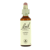 Bachblüten 02 Espe 20 ml