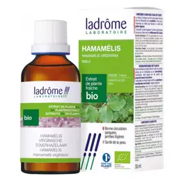 Ladrôme Extraits de Plantes Fraîches Hamamélis Bio 50ml