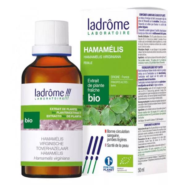 Ladrome Hamamelis 50ml