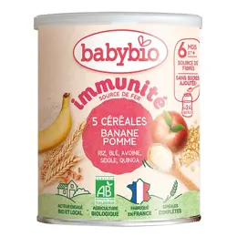 Babybio 5 Céréales Banane Pomme +6m Bio 220g