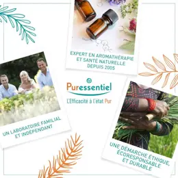 Puressentiel Huile Essentielle  Tea Tree Arbre à Thé Bio 30ml