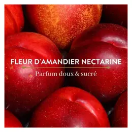 Le Petit Olivier Crème Douche Fleur D'Amandier & Nectarine 500 ml