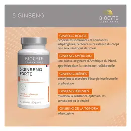 Biocyte Ginseng 5 Fort 40 gélules