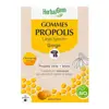 Herbalgem Propolis Junior Gommes Bio 45g