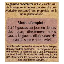 Herbalgem Complexe de Gemmothérapie Artigem Articulation Bio 30ml