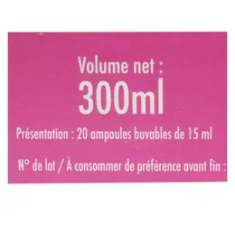 Superdiet Quatuor Reine des Prés Confort Urinaire Bio 20 ampoules