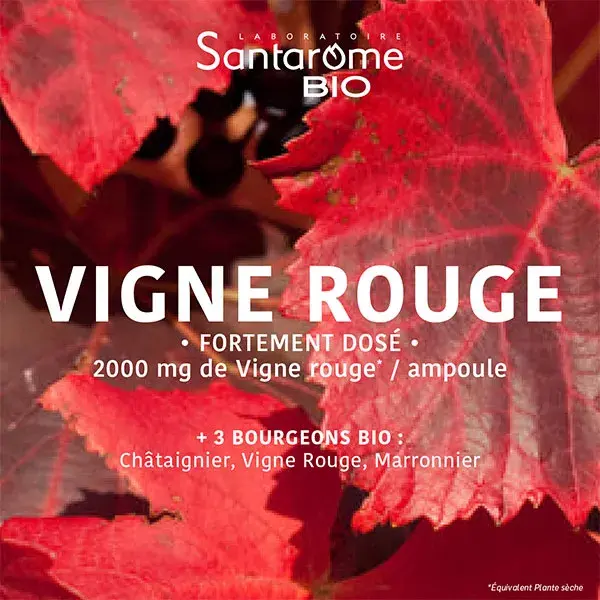 Santarome - Vigne Rouge Bio - Circulation, Jambes légères - 20 ampoules