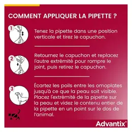 Advantix Chien Solution Antiparasitaire Très Petite Race 1,5 à 4kg 4 pipettes