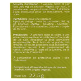 Naturactive Charbon 28 capsules