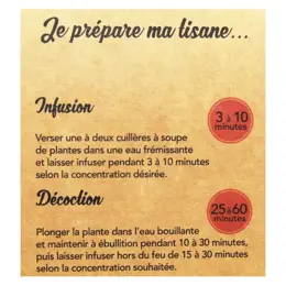 Nat & Form Tisane Ortie Piquante Bio 40g