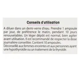 Juvamine Dépuratif-Détoxifiant Radis Noir Artichaut 10 ampoules