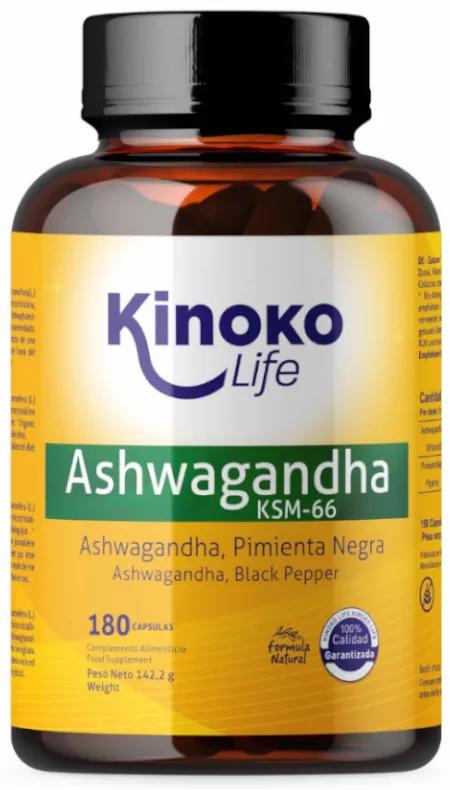 Kinoko Life Ashwagandha KSM-66 180 Cápsulas