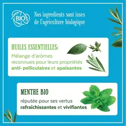 Le Petit Marseillais Shampoing Anti-Pelliculaire  et Menthe Bio 250ml