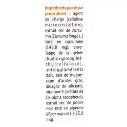 Forté Pharma Curcuma 100 15 gélules