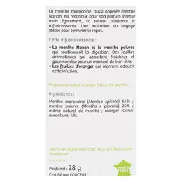 Vitavea - BioNutrisanté - Infusion Après-repas menthe nanah - 20 sachets