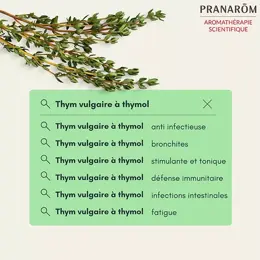 Pranarom Huile Essentielle Bio Thym Vulgaire à Thymol 5ml