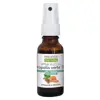 Propos' Nature Apithérapie Spray Buccal Propolis Miel Menthe Bio 20ml